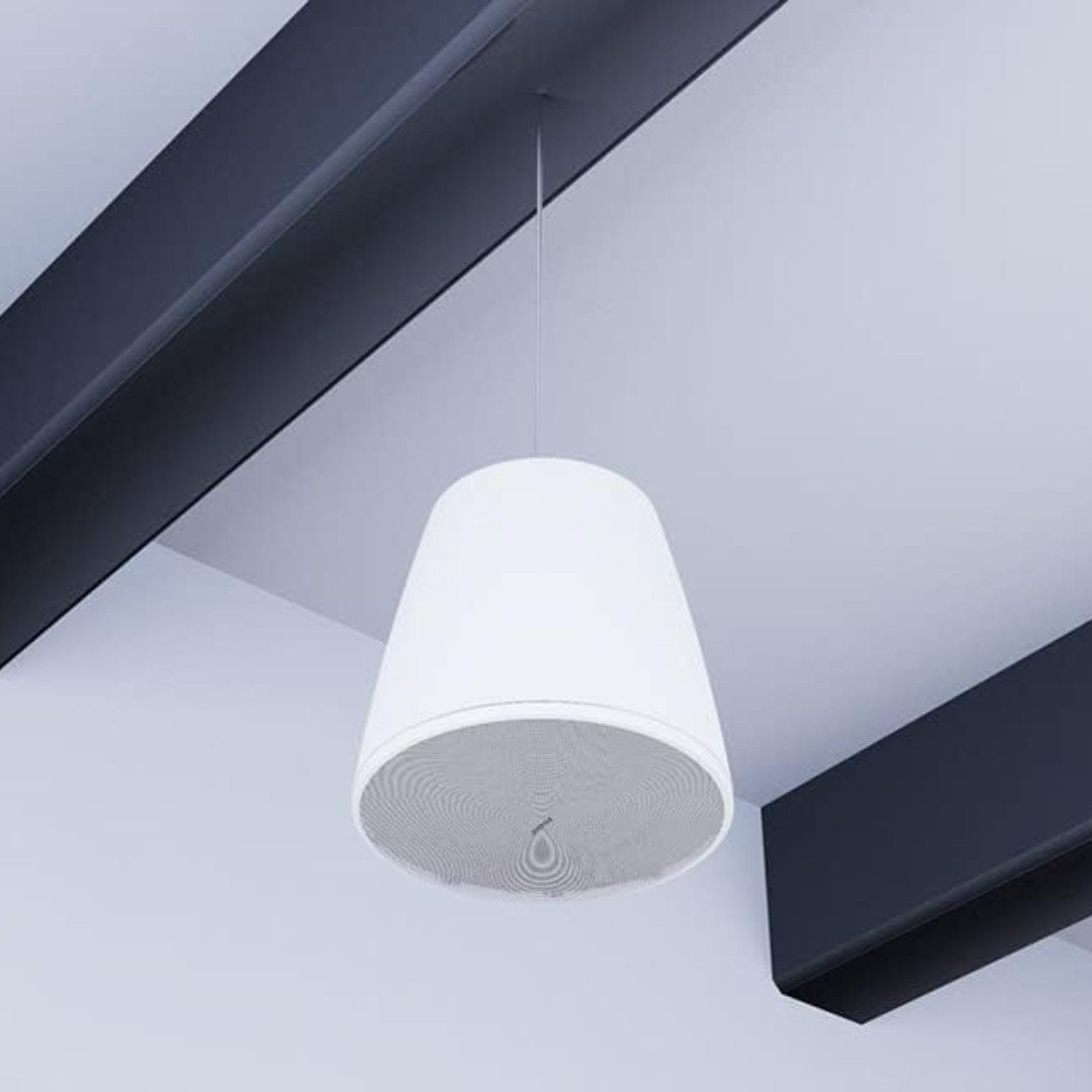 Bose Free Space FS2P Pendant Loudspeaker I Pair